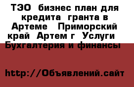 ТЭО, бизнес-план для кредита, гранта в Артеме - Приморский край, Артем г. Услуги » Бухгалтерия и финансы   